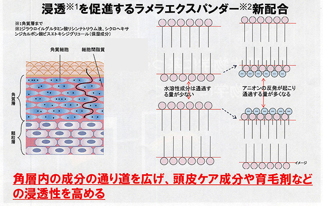 20150403　アンファー　スカルプD　資料_003